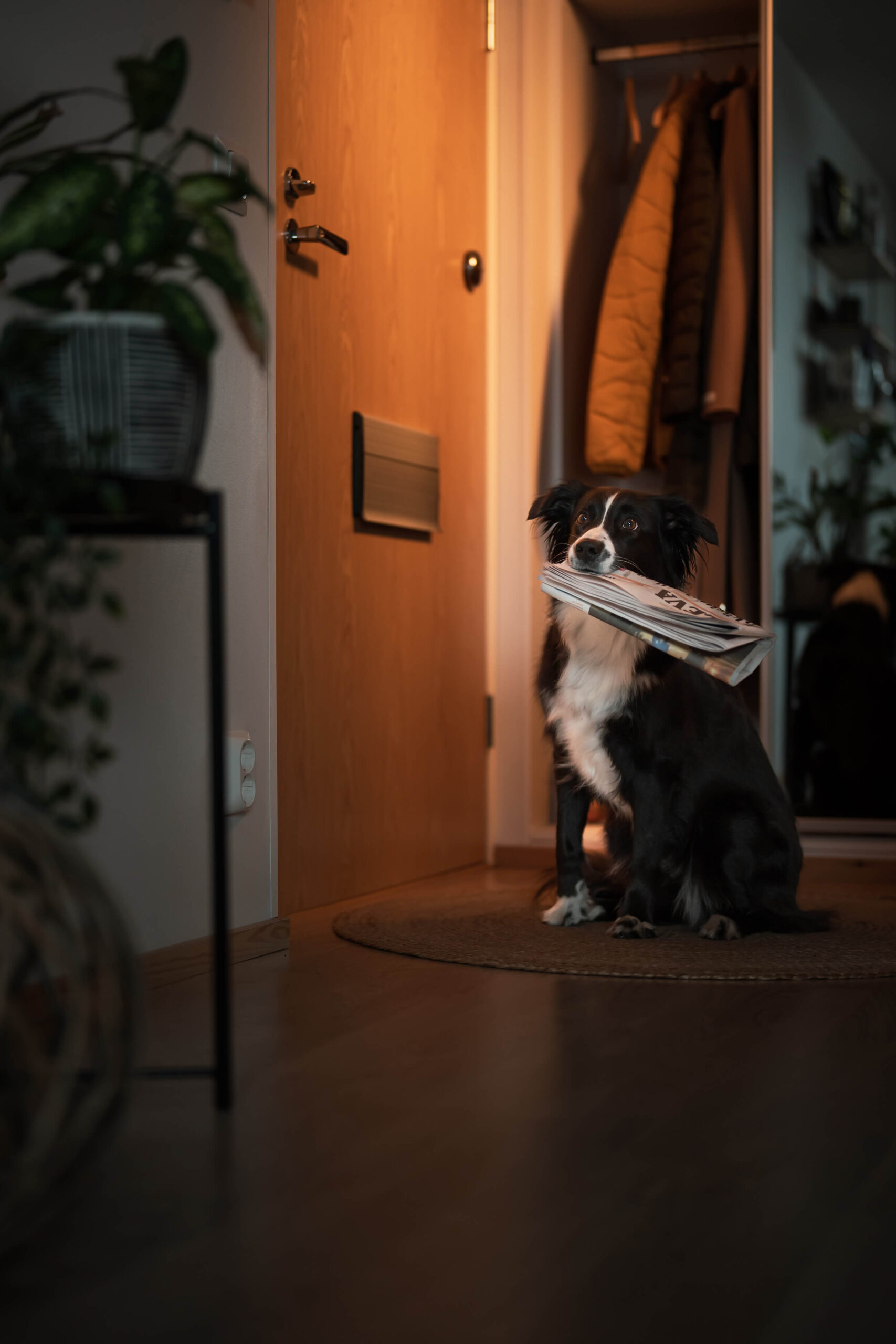 kalevamedia_still_08-web